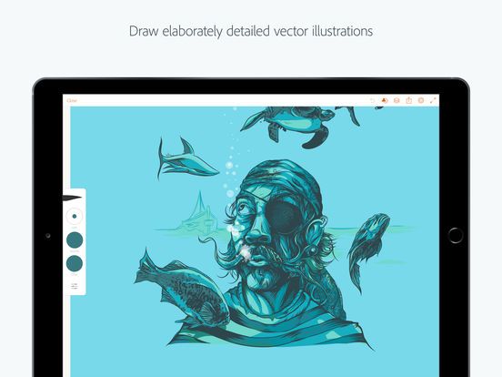 Simple Adobe Sketch Draw Vector Graphics Ipad with Pencil