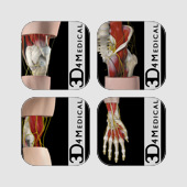 Get 3D4Medical's Body Regions for iPhone for iOS, iPhone, iPad Aso Report