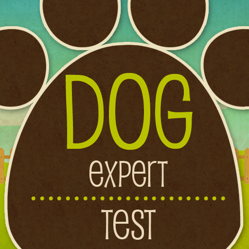 Dog Expert Test