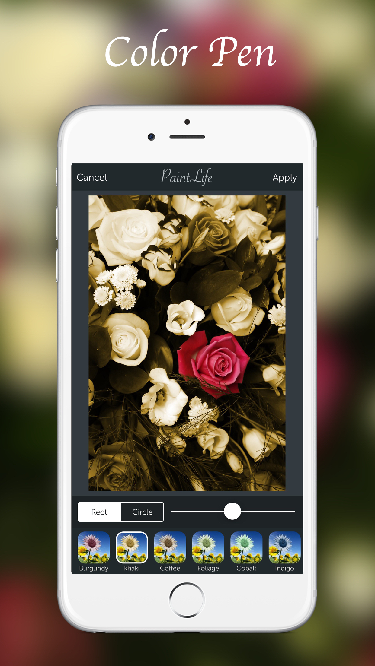Pixcape - Powerful Photo Editor & Camera screenshot-3