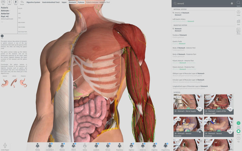 Complete Anatomy 2019 4.0.1 Mac 破解版 – 强大的3D医学人体模型-日主题 Complete Anatomy 2019 4.0.1 Mac 破解版 – 强大的3D医学人体模型