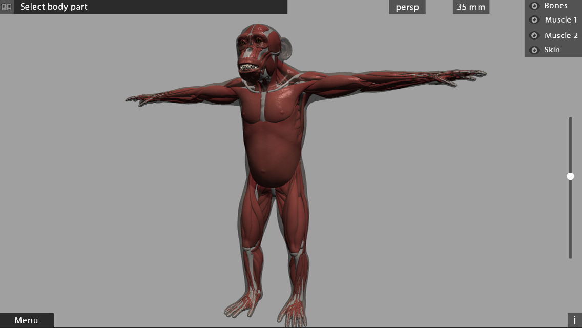 Animal Anatomy 3D