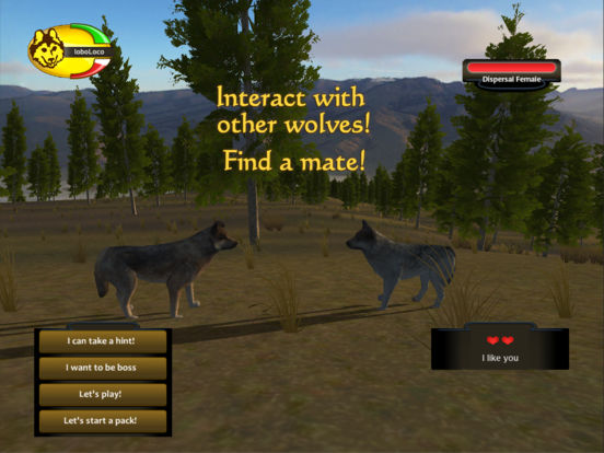 Wolf Quest Ipad